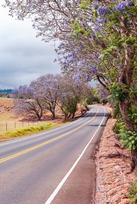 Landscapes & Architectural