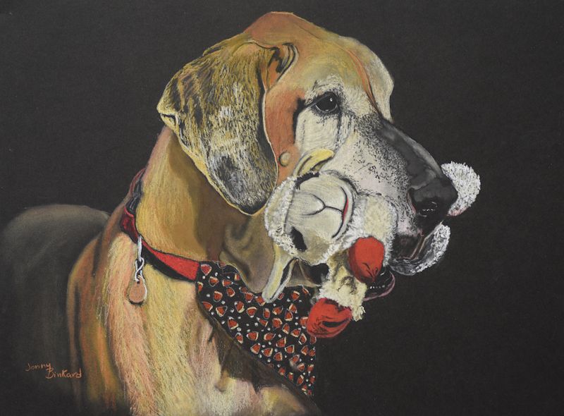 Gus - pastel on black paper, 11 x 14    2024