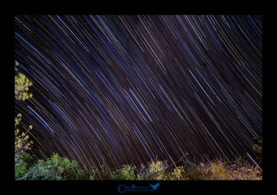 Startrail su Savuti