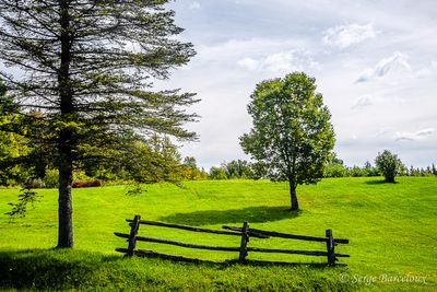 Paysage rural