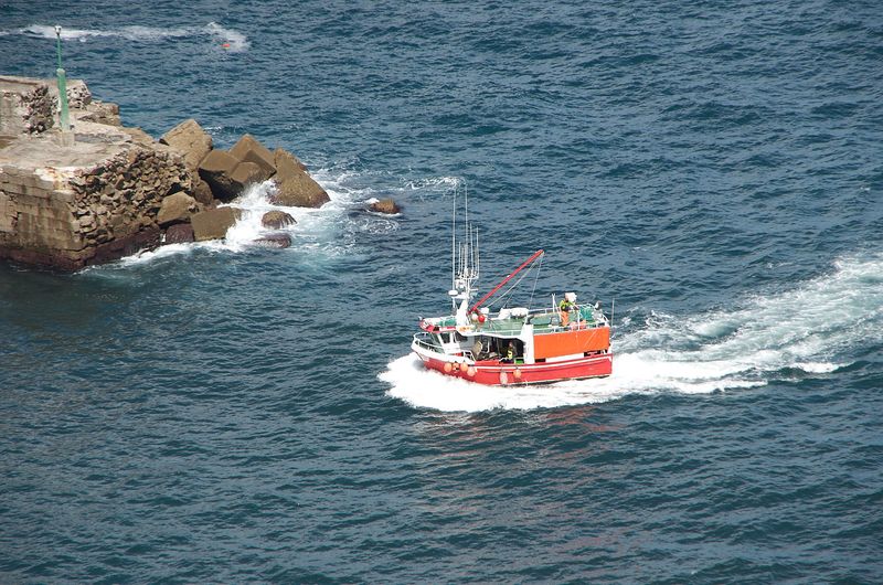 Barco regresando a puerto
