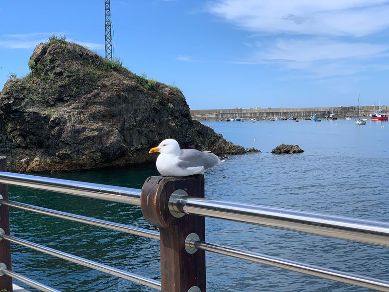 En el puerto