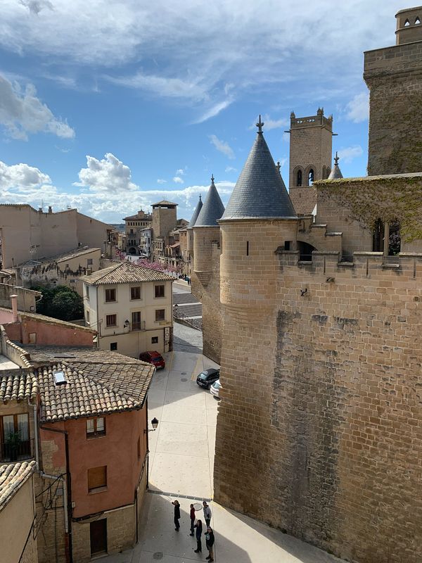 Vista de Olite desde el Palacio Real