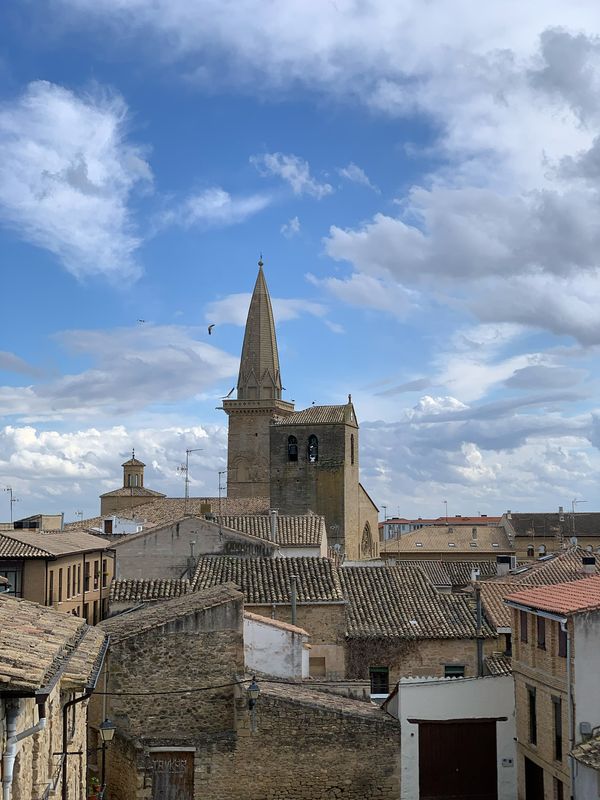 Vista de Olite desde el Palacio Real