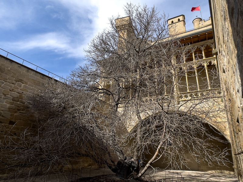 Galera del Rey y jardn