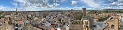 Panormica de Olite desde el Palacio Real