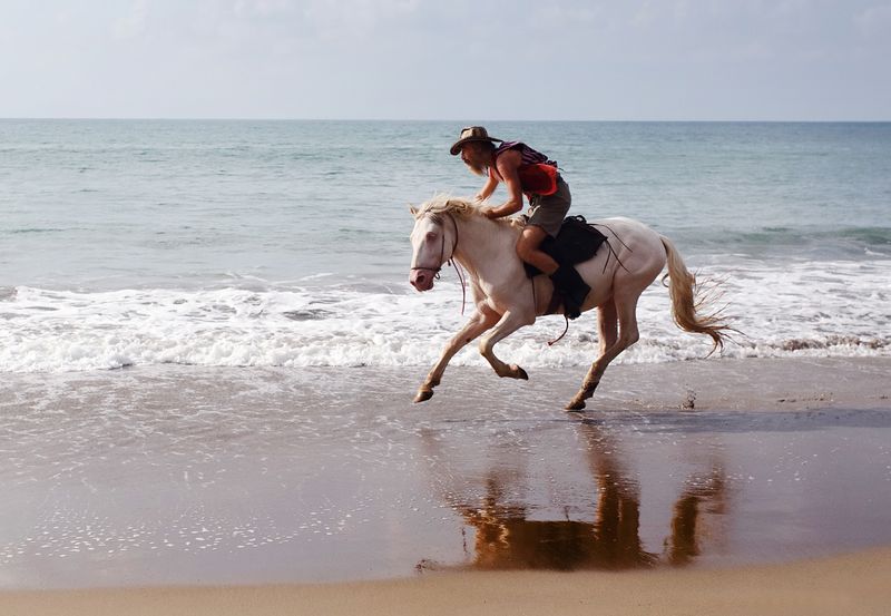 Beach Rider.jpg