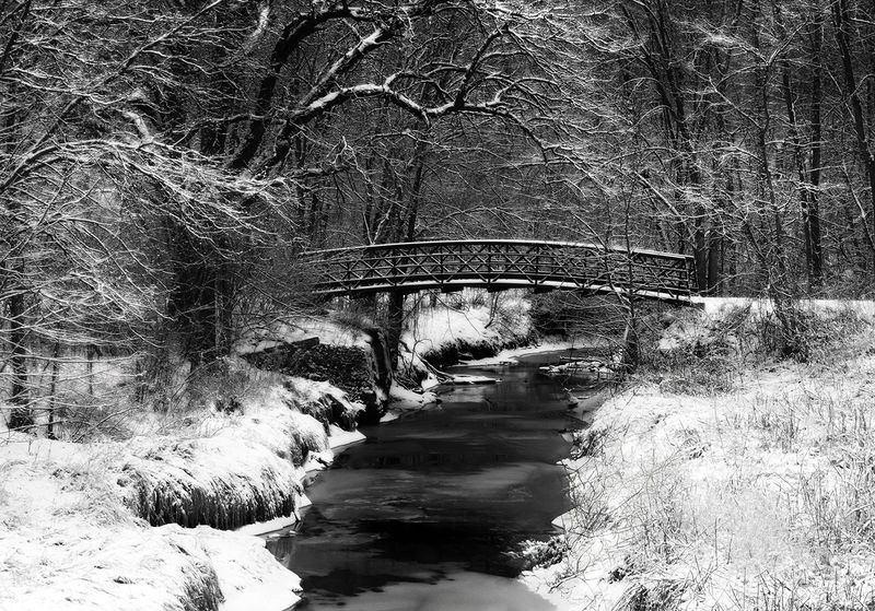 Winter in springtime copy.jpg