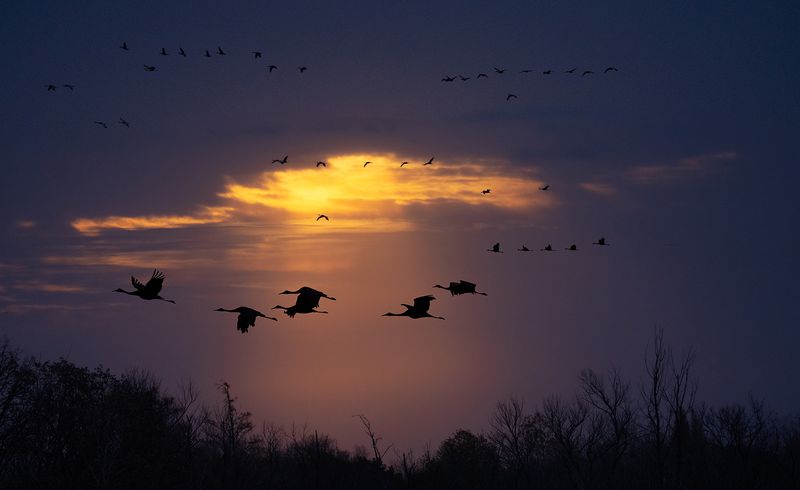 God rays and cranes copy.jpg