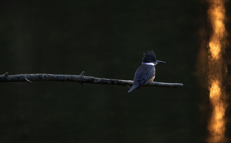 Watching the sunrise on river copy.jpg