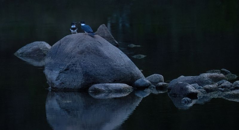 My rock copy.jpg