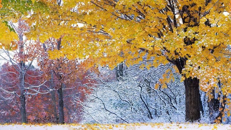 Day after 1st snow III copy.jpg