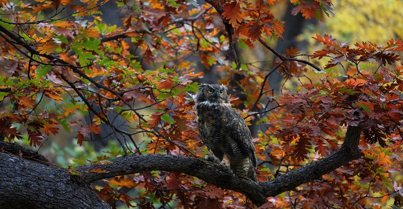 Mom with fall colors TNR copy.jpg