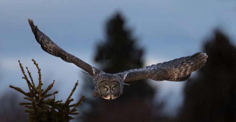 Target aquired TNR copy.jpg