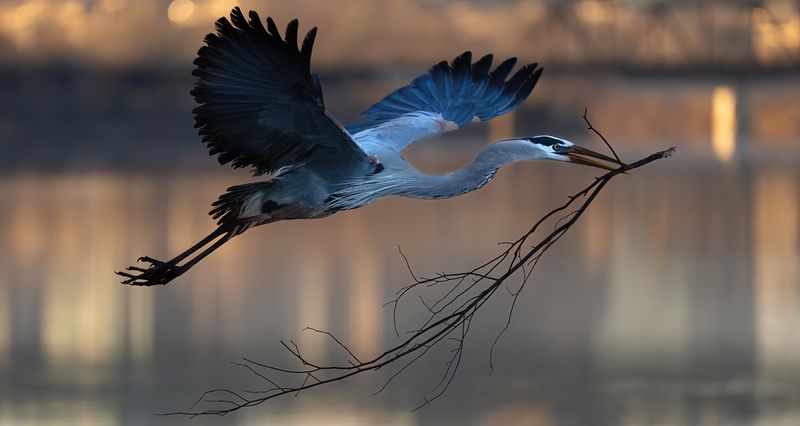 Sunrise takeoff TNR copy.jpg