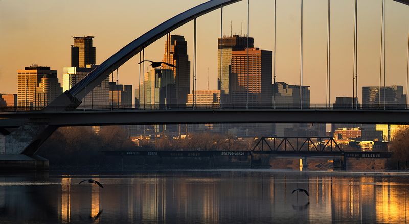 Herons heading downtown TNR copy.jpg