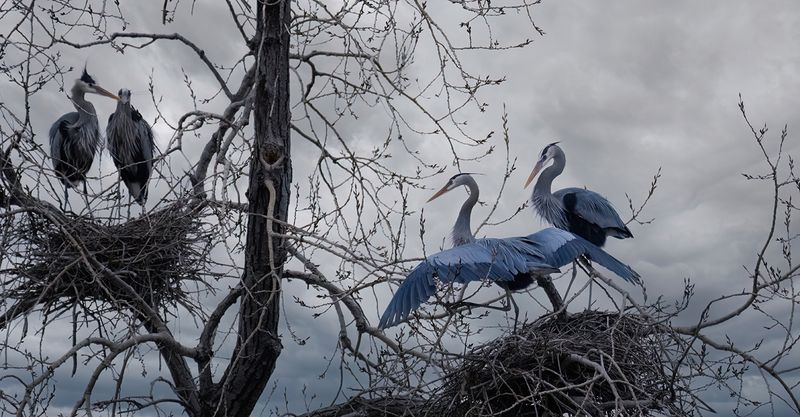Winter threatens to return TNR copy.jpg