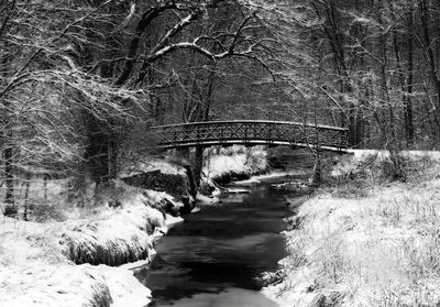 Winter Wonderland