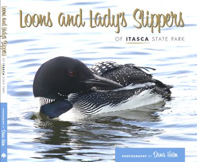 Loons of Itasca State Park