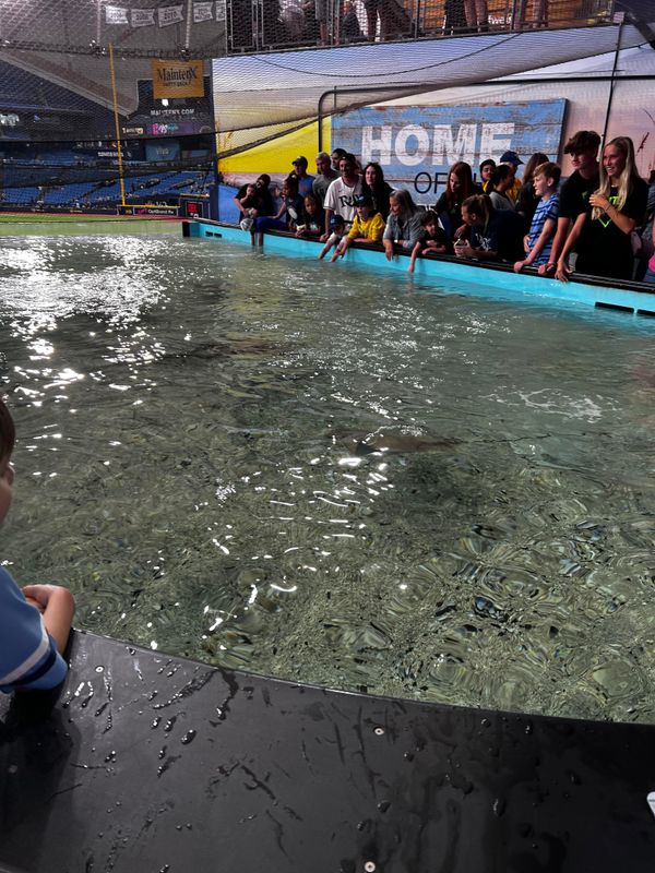 Rays tank, Tropicana Field