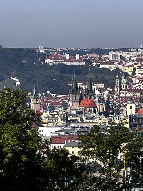 From the top