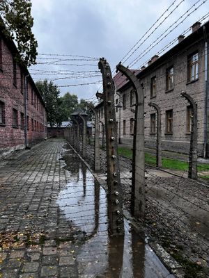 An average ground view