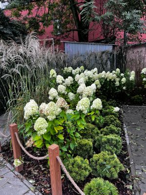 Stop to see the plants