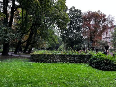 Nice scene