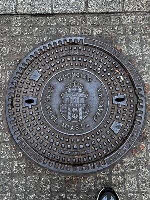 Unique manhole cover