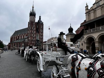 Horse and buggy rides for sale! We didn’t partake…