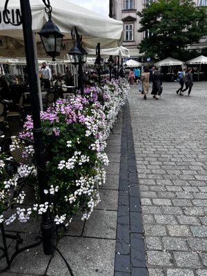 More flowers….