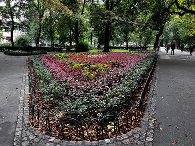 More flowers