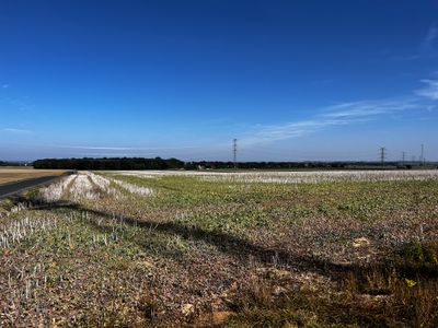 The ground of the great cavalry charge.  During the battle it was raining so hard that the muskets could not fire.