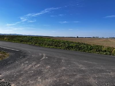 Last view, wide open field.