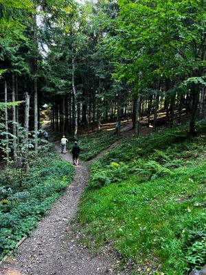 Trail to next feature, beautiful woods.