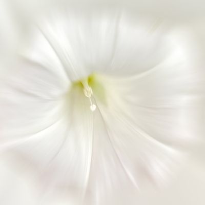 g13/68/753868/3/174723949.6db4e886.JPEG