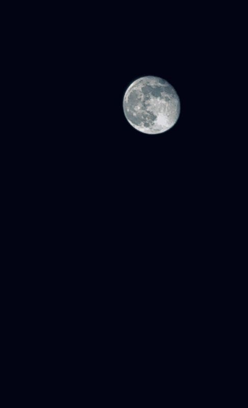 IMG_4204.JPEG