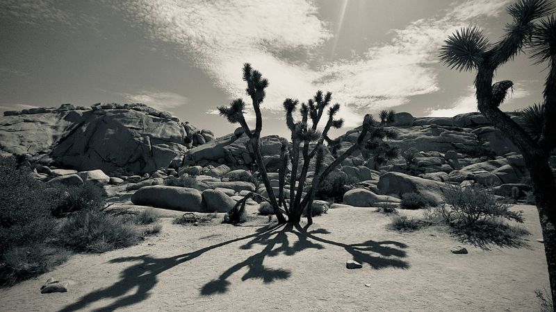 national_parks