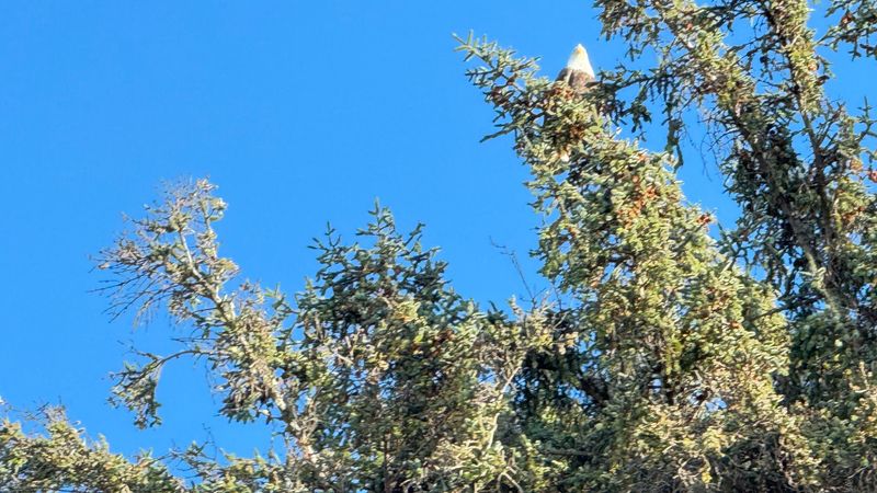 IMG_5878.JPEG
