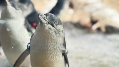 IMG_4400.JPEG