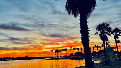 IMG_4667.JPEG
