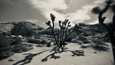 g13/68/8033368/3/175094450.3040c448.JPEG