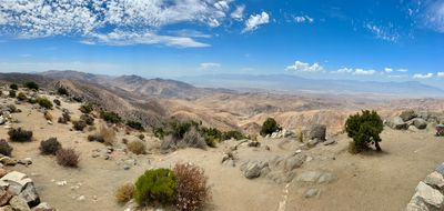 IMG_3729.JPEG