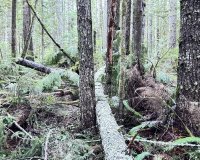 g13/68/8033368/3/175202454.cfe51688.JPEG