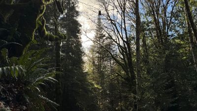 g13/68/8033368/3/175202461.f193df80.JPEG