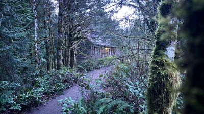 g13/68/8033368/3/175202474.8dfa0f59.JPEG