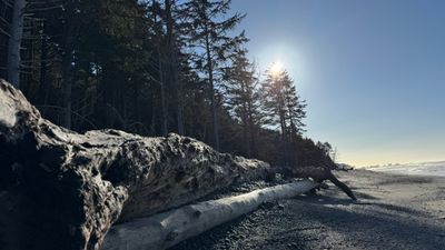 g13/68/8033368/3/175202481.bc4410d2.JPEG