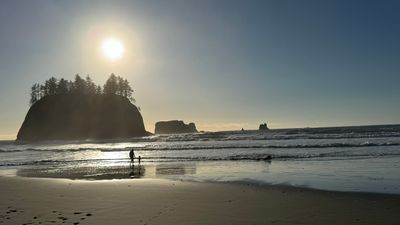 g13/68/8033368/3/175202546.b0b6b970.JPEG