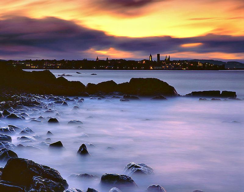 Yellow and Purple St Andrews