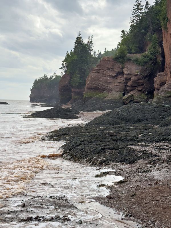 Shoreline along Cabot Trail.jpg